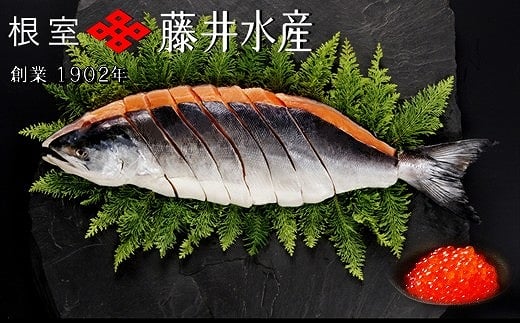 F-42013 【北海道根室産】時しらず鮭1.5kg×1P・いくら醤油漬け90g×1P