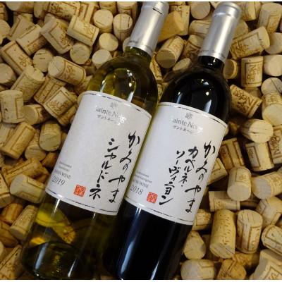 ふるさと納税 山梨市 ワイン サントネージュワインが贈る シャルドネ カベルネソーヴィニヨン 2本 セット