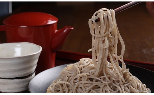 日本そば そば 蕎麦 乾麺 200g×17袋 2回送付 定期便 飛騨 奥飛騨朴念そば 定期便 お楽しみ [Q1931x] 100000円 10万円