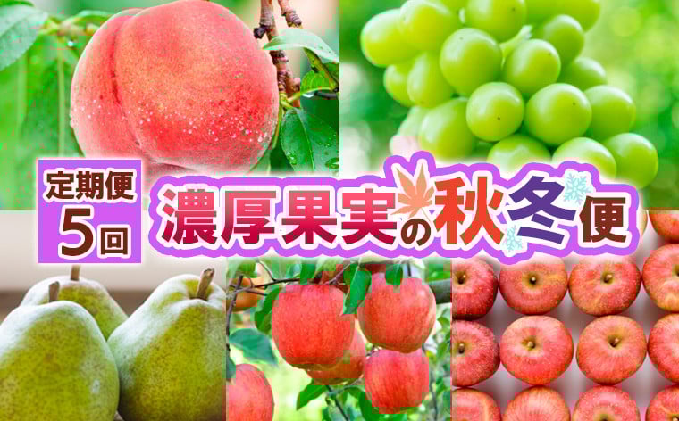 
            【定期便5回】濃厚果実の秋冬便  【令和8年産先行予約】FS25-692 くだもの 果物 フルーツ 山形 山形県 山形市 2026年産
          