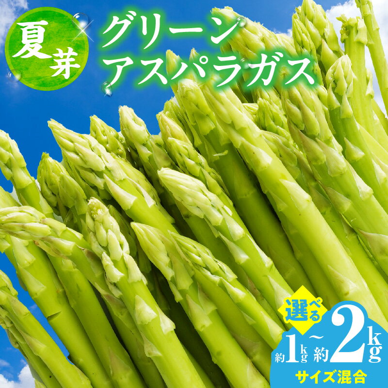 【ふるさと納税】【選べる内容量】【夏芽】グリーンアスパラガス サイズ混合約1～2kg アスパラ グリーンアスパラガス アスパラガス 夏芽 おすすめ 混合 シャキシャキ 野菜 冷蔵 新鮮 新鮮野菜 香川県 国産 三木町 おすすめ 人気 おすすめ 家庭用 お裾分け 香川県産 グルメ