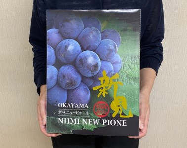 新見のピオーネ 約1.6kg 4房 【先行予約 9月中旬～10月上旬発送】