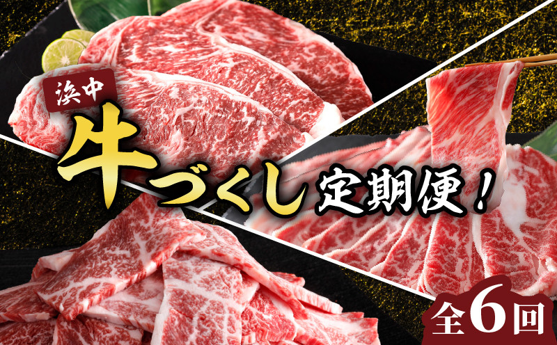 
                  ＜全6回・連続＞浜中牛づくし定期便_H0019-110
                