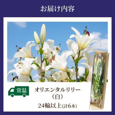 ふるさと納税 都農町 【2週間以内発送】「オリエンタルリリー ユリ」(白) 計6本 切花 百合 国産_T045-0011 |  | 03