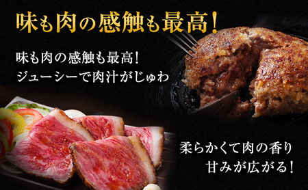 ハンバーグ 4個 ＆ ローストビーフ 120g 食べ比べ 黒毛和牛