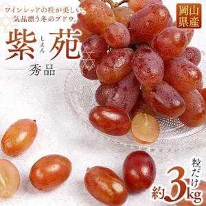 ぶどう 2026年  紫苑 しえん粒だけ 約3kg  家庭用 ギフト 農林大臣賞2回受賞  贈答用 贈り物 岡山 果物 フルーツ  採りたて発送 農家直送 数量限定 新鮮 10月上旬から発送