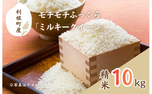 モチモチふっくら「ミルキークイーン」精米10kg ／ 米 こめ コメ お米 ご飯 ごはん ミルキークイーン 白米 精米 令和7年産 新米 10kg 利根町 送料無料