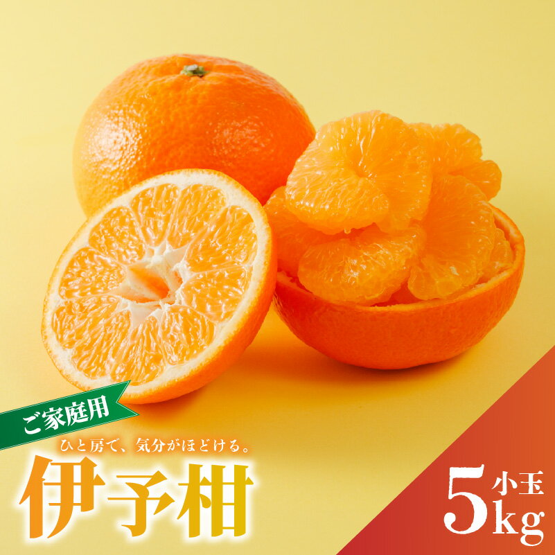 【ふるさと納税】 宮内伊予柑 家庭用 小玉 5kg 【2026年1月から発送予定】 | 柑橘 みかん 果物 くだもの フルーツ おすすめ 人気 お取り寄せ グルメ ギフト 期間限定 数量限定 ご当地 愛媛県 松山市