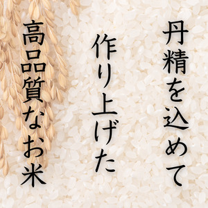 産地直送 米 こめ ご飯 ごはん  / 和歌山県産 キヌヒカリ 10kg(2024年産) 【sml100A】