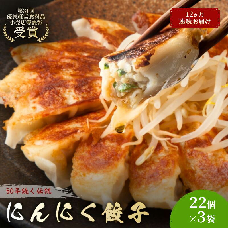 【ふるさと納税】にんにく餃子66個(22個×3袋)12か月連続お届け 餃子 冷凍餃子 冷凍ギョーザ 手作り餃子 ギョーザ 点心 中華 中華料理 惣菜 簡単調理 加工食品 静岡県 森町
