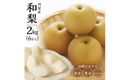 【先行予約】刈屋産 和梨 約2kg 6玉 9月上旬～10月中旬頃お届け 果物 なし ナシ フルーツ 秋 贈答 ギフト 山形 酒田 木川果実店 SA2928