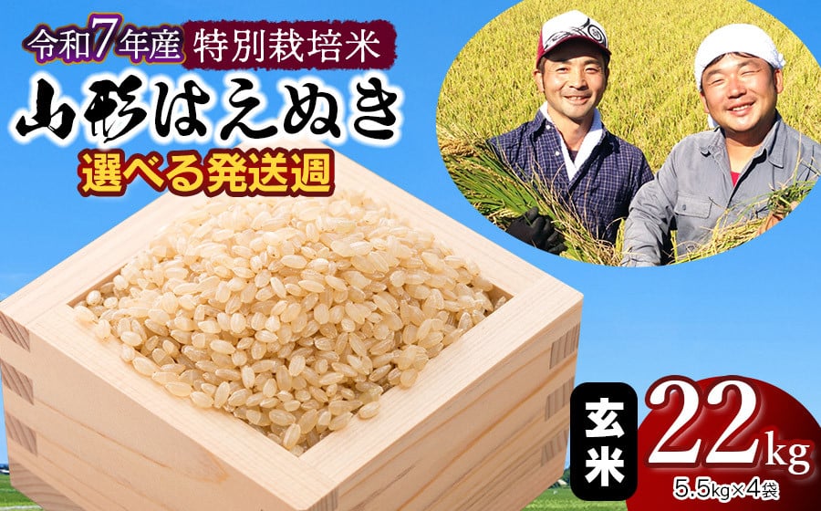 
            【令和7年産先行予約】特別栽培米 山形はえぬき 玄米 22kg(5.5kg×4袋)　選べる発送週　山形県鶴岡市産　鶴岡ファーマーズ
          