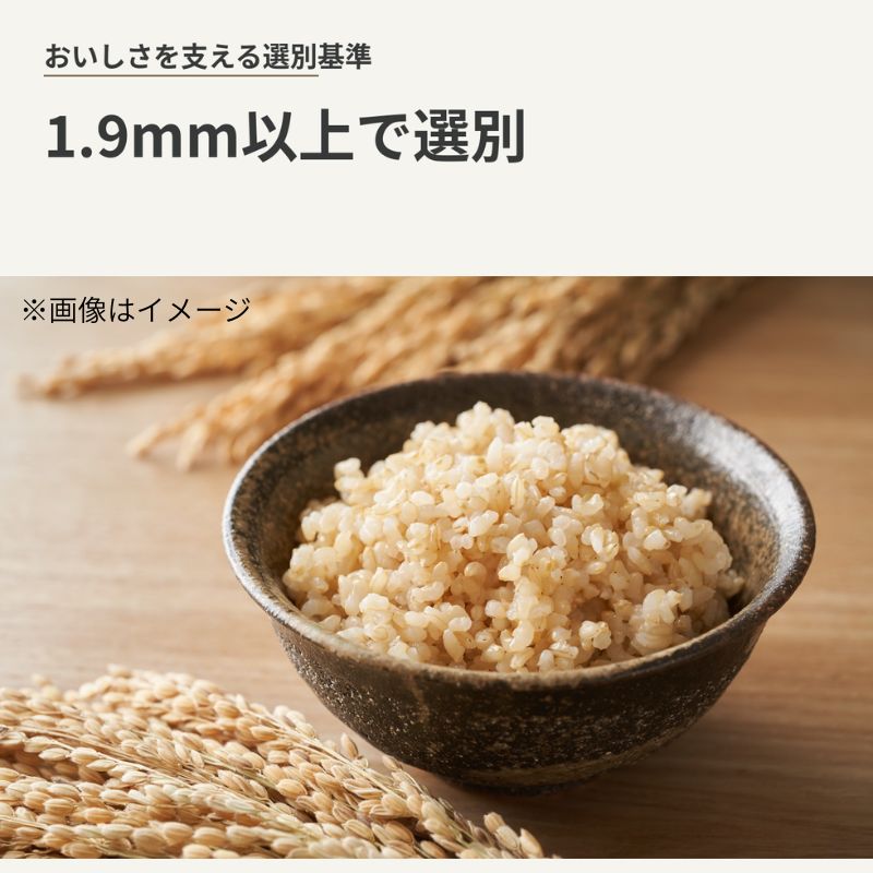 【先行予約・令和8年産】新米 秋田県産あきたこまち 玄米 3