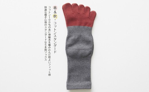 422.【5本指ソックス春夏秋冬セット(22-24cm)】(A422-1)