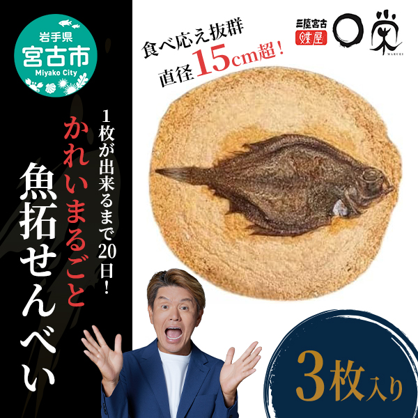 【かれい専門店】宮古で獲れた かれいまるごと魚拓せんべい 直径15cm超 3枚