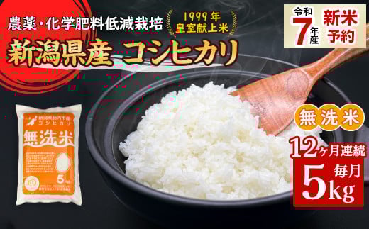 16-M05Z【12ヶ月連続お届け】新潟県胎内市産コシヒカリ【無洗米】5kg
