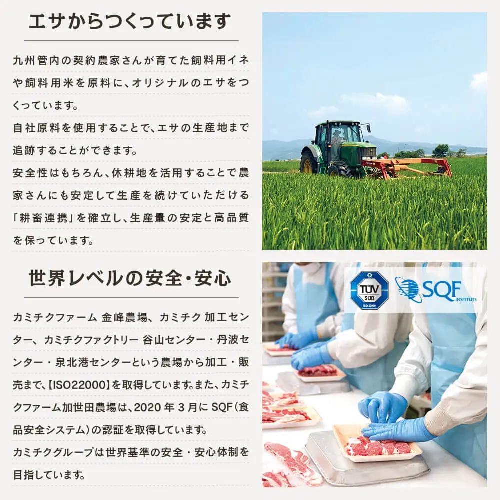 【特撰定期便 全4回】 A5等級 鹿児島県産 黒毛和牛 赤身 定期便 赤身肉 ヘルシー ステーキ すき焼き しゃぶしゃぶ 焼肉 ローストビーフ ブロック お肉 国産 牛肉 冷凍 定期便 カミチク
