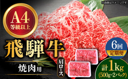 【6回定期便】 飛騨牛 焼肉用 ロース・肩ロース 1kg A4等級以上  多治見市 / 渡辺精肉店 和牛 ブランド牛 牛肉[TAZ036]