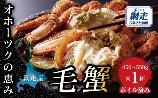 【網走産】オホーツクの恵み 毛蟹 450?550g × 1杯｜ボイル済み 冷凍 毛ガニ 北海道 【ふるさと納税 人気 おすすめ ランキング 毛蟹 毛ガニ 毛がに かに カニ 蟹 ボイル ボイル済み 冷凍 北海道 網走 網走産 オホーツク オホーツク海 オホーツク海産 海鮮 魚介 魚介類 カニ 海の幸 1杯 1尾 お取り寄せ グルメ ごちそう お祝い 贈答 ギフト 送料無料】ABBI014