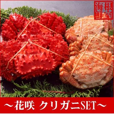 ふるさと納税 根室市 【年内配送可○】★花咲ガニとクリガニセット5〜6尾(計1.5kg前後) A-57015