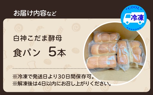 白神こだま酵母食パン（5本）　【65P168001-02】【岩谷製パン有限会社】