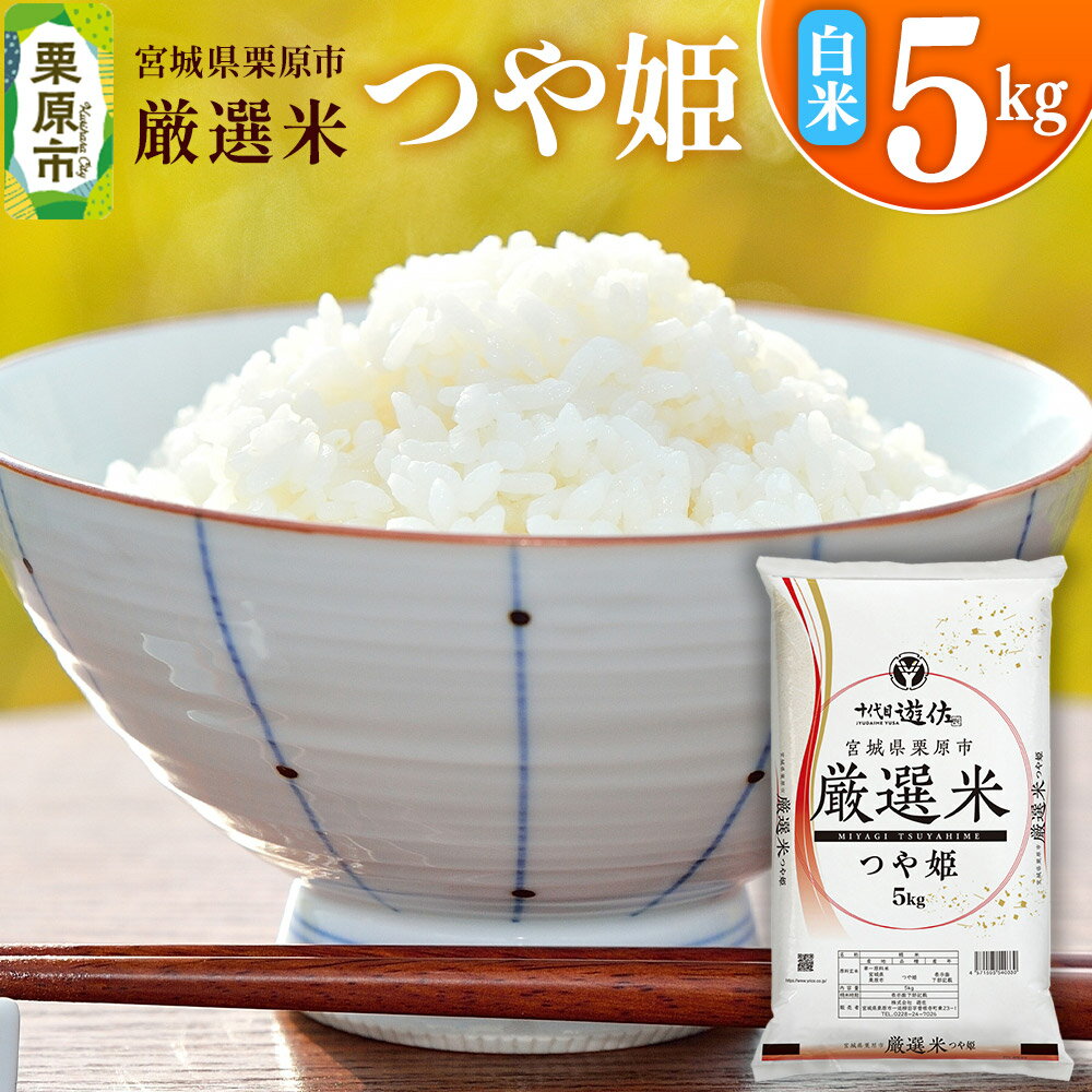 【ふるさと納税】【白米】宮城県栗原市 厳選米 つや姫 5kg