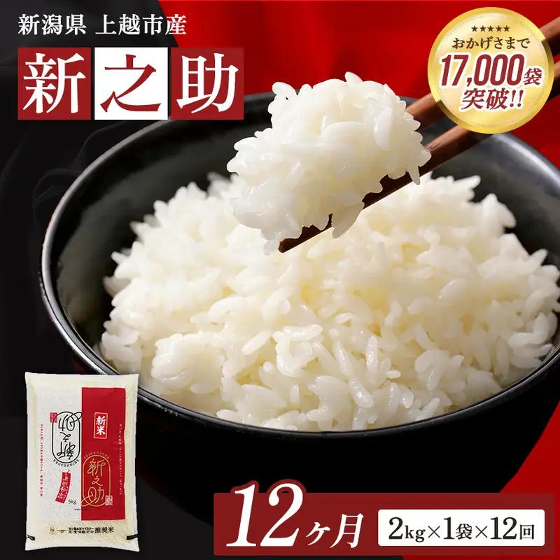 【12ヶ月定期便】令和8年産 新之助 無洗米 2kg 12回
