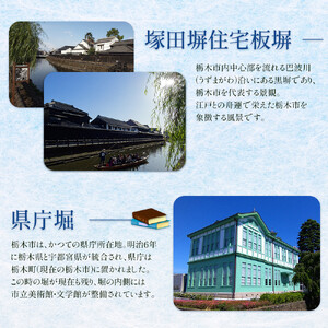 着物で蔵の街ゆっくり散策チケット 小江戸とちぎ賑わい御膳付き（1名様分）【券 人気 おすすめ 】