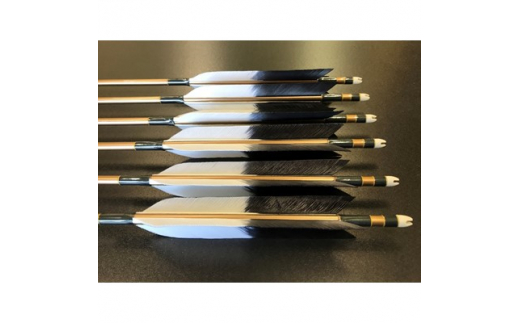 
                  弓道 矢 七面鳥 アルミ矢 2015 シャフト 茶色 矧ぎ糸 黒系 6本組 [小山矢 愛知県 岡崎市 ok23bzx560004] ターキー 弓具 近的 近的矢
                