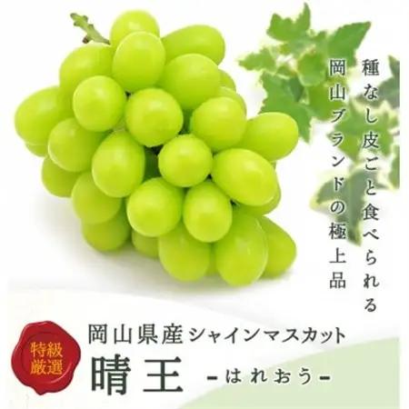 岡山県産 シャインマスカット『晴王』2房(1房480g以上) 化粧箱入り【配送不可地域：離島・北海道・沖縄県】【1499104】