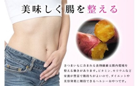 干し芋平切りミックスセット（あんのう黄金・紅はるか）1.5kg  7-I