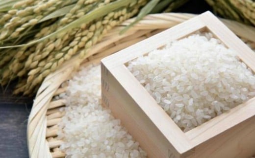 【令和7年産】 ひのひかり 10kg（ご飯の友付き）米 白米 熊本県 益城町産 【2025年10月上旬より順次発送予定】