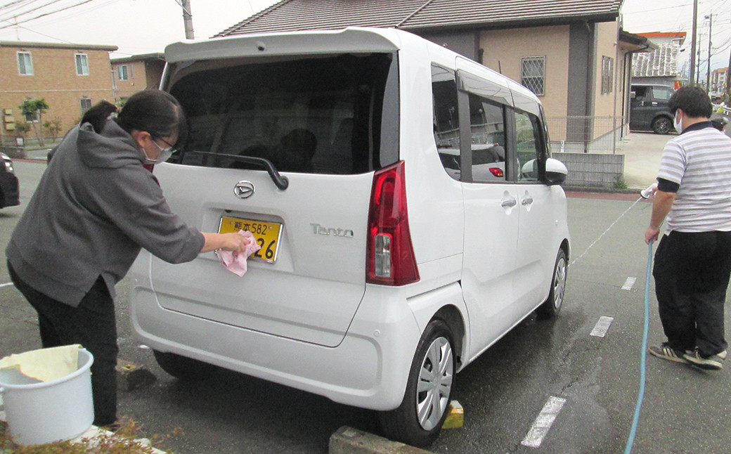 家事代行 (草刈り剪定・窓拭き・車の清掃) チケット ※要寄附前連絡