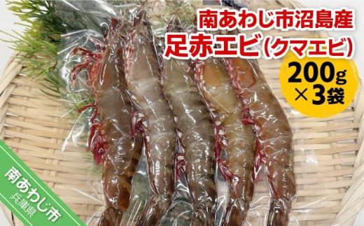 【沼島産】足赤エビ（クマエビ）200ℊ×3袋　◆配送11/1～2/28