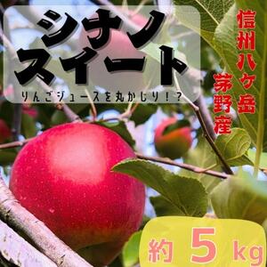【2025年先行受付】長野直送!信州八ヶ岳のりんごシナノスイート約5kg(12～24玉)蓼科高原【配送不可地域：離島】【1605264】