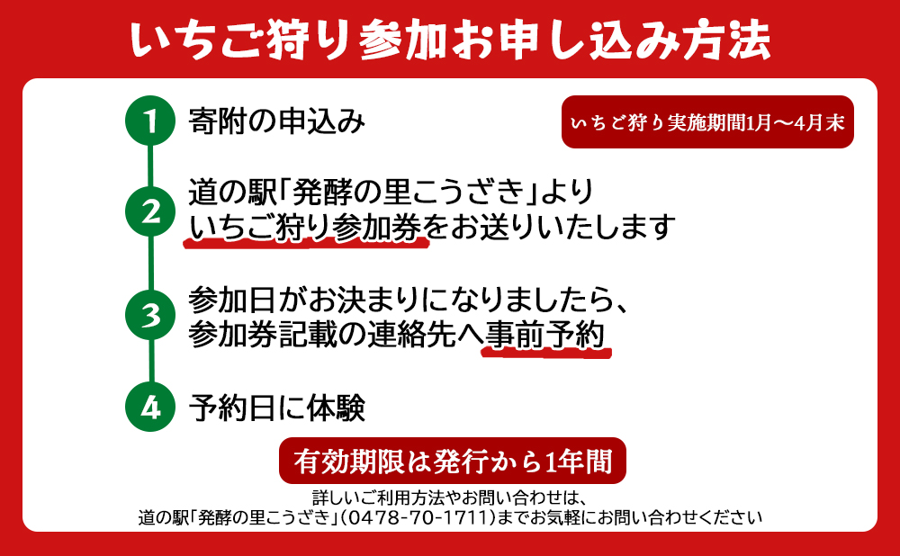 【1～4月限定】甘くてジューシー！ベリーファームテトラのいちご狩り体験（大人2名）[020-a001]【千葉県神崎町ふるさと納税】