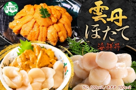 3351. うに チリ産 冷凍 200g ホタテ 200g 計400g セット ウニ 雲丹 ほたて 生ほたて 帆立  冷凍 海鮮 海鮮丼 送料無料 北海道 弟子屈町