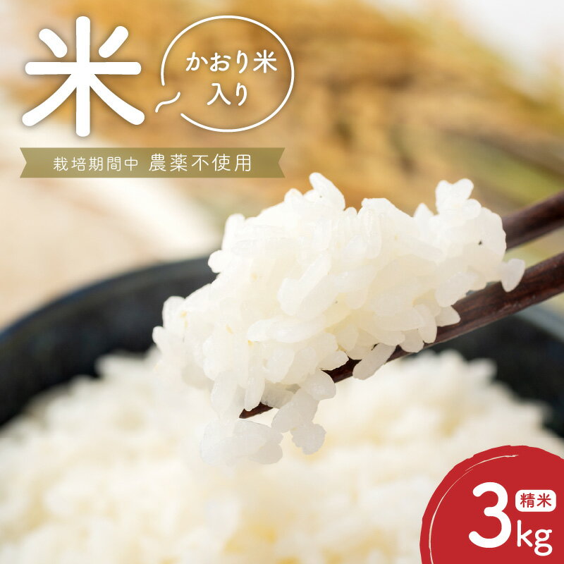 【ふるさと納税】米 3kg 精米 自家生産 栽培期間中 農薬 不使用 白米 もち米 かおり米 ブレンド 風味 食感 自社生産 お米 ご飯 おにぎり おむすび お弁当 弁当 炊き込みご飯 食品 食べ物 瀧本農産 お取り寄せ お取り寄せグルメ 宮崎県 延岡市 送料無料