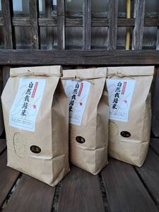 【2026新米先行予約】岩美町産自然栽培米こしひかり（玄米）３kg×３袋｜鳥取 岩美 お米 こめ 玄米 無農薬 無肥料 早期予約【31008】