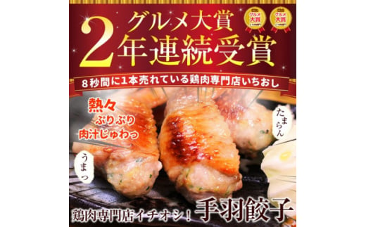 8秒に1本売れてます!手羽先餃子10本セット/水郷のとりやさん【1510425】