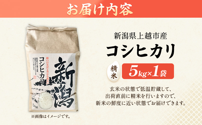 【新潟県上越市産】コシヒカリ（特別栽培米）　5kg 米 お米 こしひかり ご飯 精米 新潟 上越