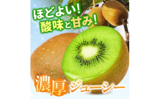 厳選 キウイフルーツ 2.5kg+250g（傷み補償分）/ キウイフルーツ 高級 和歌山 ※2026年11月中旬より2027年4月下旬頃順次発送予定 ※北海道・沖縄・離島への配送不可 【ikd505-