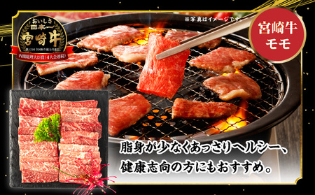 宮崎牛モモ・ウデ焼肉セット(計800g)　肉 牛 牛肉