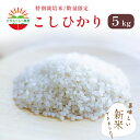 【ふるさと納税】 特別栽培米 白米 コシヒカリ 5kg 5キロ 精米 有機肥料 100% 特別 栽培米 令和 5年産 お米 おにぎり お弁当 食事 京都 舞鶴 【数量限定】