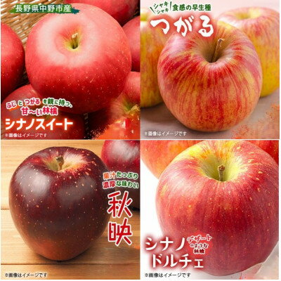 【ふるさと納税】季節のおすすめリンゴ　1ケース約4.8kg【1731399】