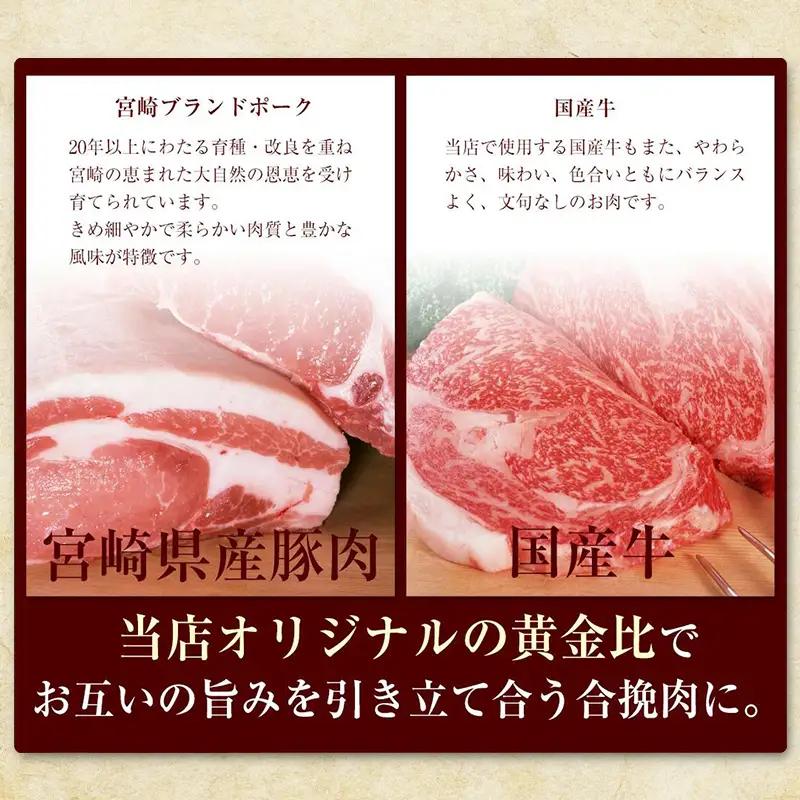 馬渡のもっちり 餃子 国産 肉 小分け 惣菜 人気 80個(40個×2パック)