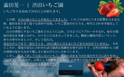 【先行受付！2027年2月から発送開始】事業者お任せ！紅白いちご食べ比べ定期便　全3回（2月〜4月）：B400-025