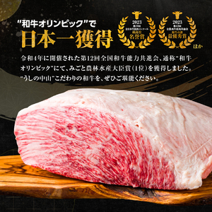 2265 鰻も牛もどっちもイエェェェーイ！セット1 KN050-003-01 冷凍 肉 魚 黒毛和牛