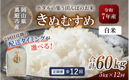 ＜定期便 全12回＞ 令和7年産 真庭市産きぬむすめ 白米5kg×12回 / お米 国産 岡山県 米 人気 ブランド 2025年産 【tkns-tkb015-cho】