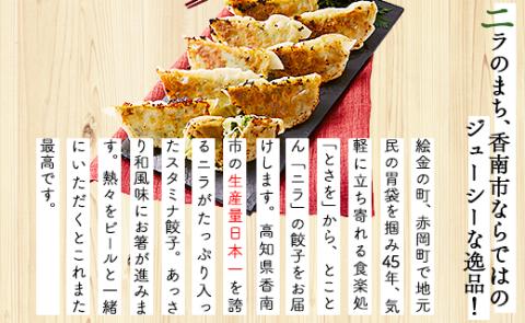 ニラのまち香南市 香南ニラ餃子28個 - 送料無料 ぎょうざ ギョーザ ギョウザ おかず おつまみ にら 手作り スタミナ お取り寄せ お祝い パーティー のし 高知県 香南市 冷凍 tw-0006